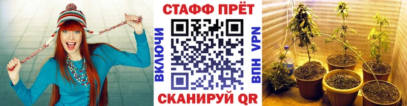 Псилоцибиновые грибы Тайга