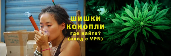PSILOCYBIN Бугульма