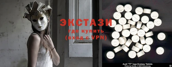 гидра Богородицк