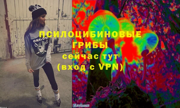 мдпв Бородино