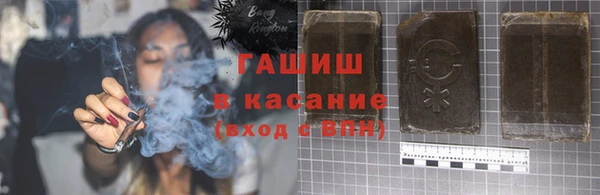 мдпв Бородино