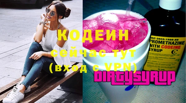 мдпв Бородино