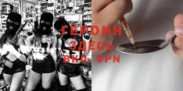 мдпв Бородино