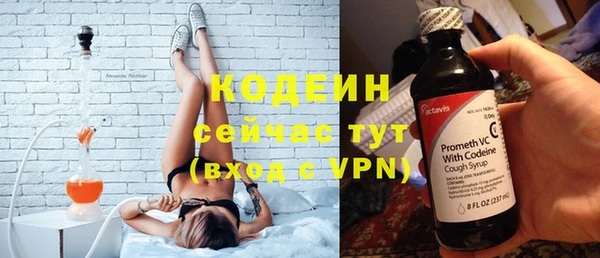 мдпв Бородино