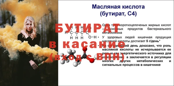 мдпв Бородино