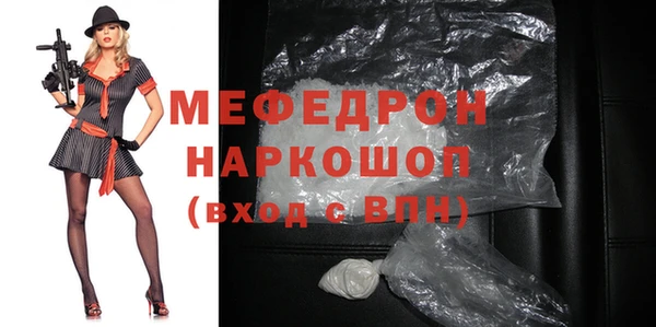 мдпв Бородино