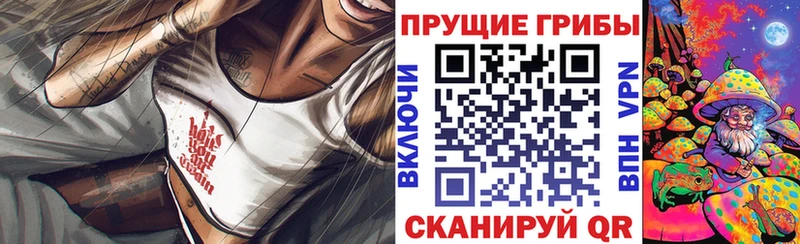 Псилоцибиновые грибы Psilocybe  Купить  Тайга 